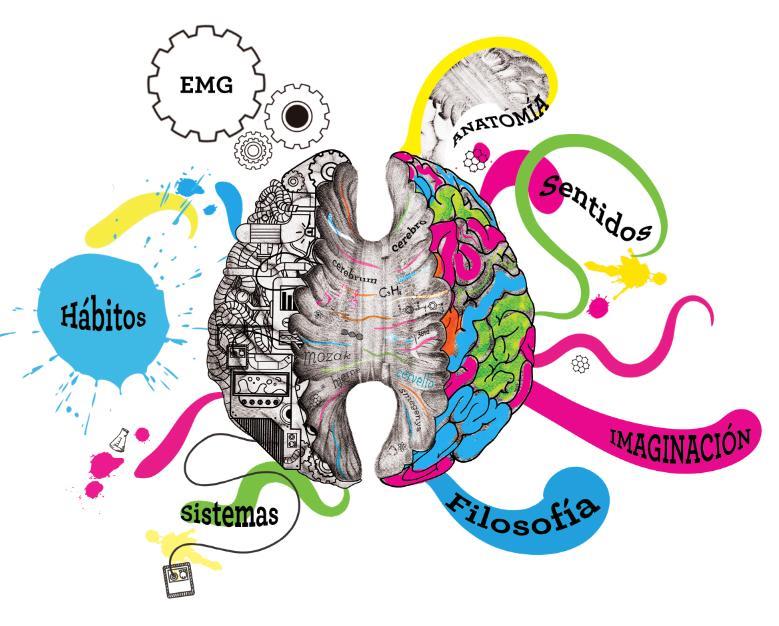 Código Osteopático del Cerebro